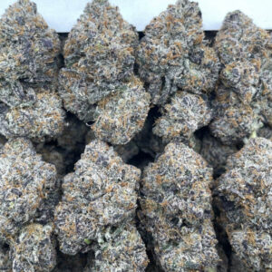 Blueberry Gary (Hybrid)