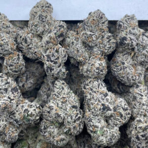 Everlasting Gumdrops (HYBRID) EXOTIC SHELF 100% ORGANIC